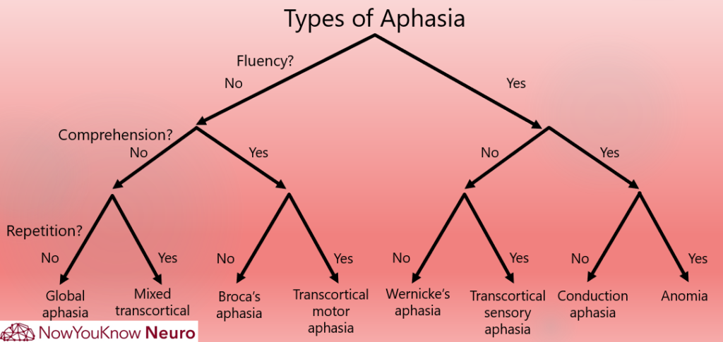Types-of-Aphasia-1024x485.png