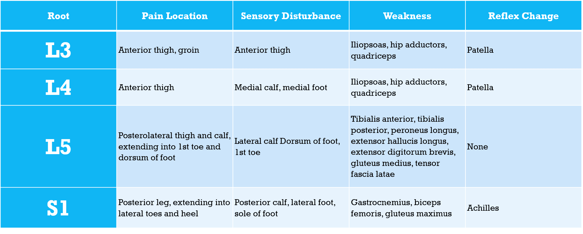 Lumbosacral Radiculopathies Chart | NowYouKnowNeuro